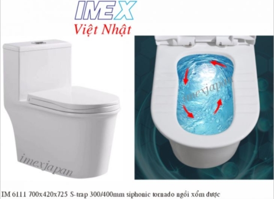 Bồn cầu IM6111