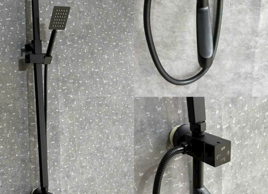 Cây sen vuông Lạnh  đen